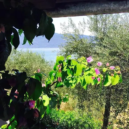 Charming House In With Pool Casa vacanze